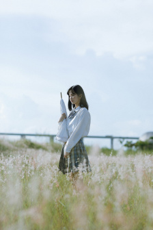 野花视频直播免费观看